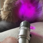 Premium Upgrade BIAS ®  Chromotherapeut/in 2026