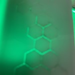 Premium Upgrade BIAS ®  Chromotherapeut/in 2026