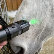 Premium Upgrade BIAS ®  Chromotherapeut/in 2026