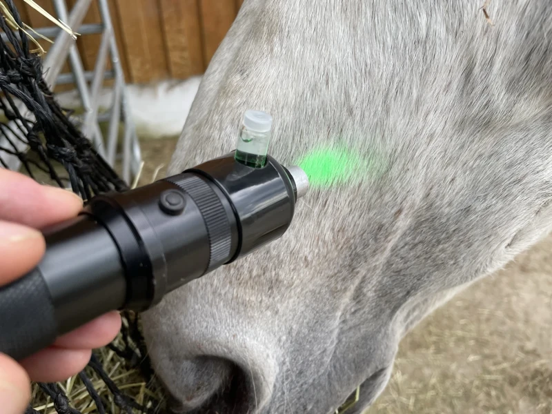 Einzelcoaching / individuelle Fallbesprechung