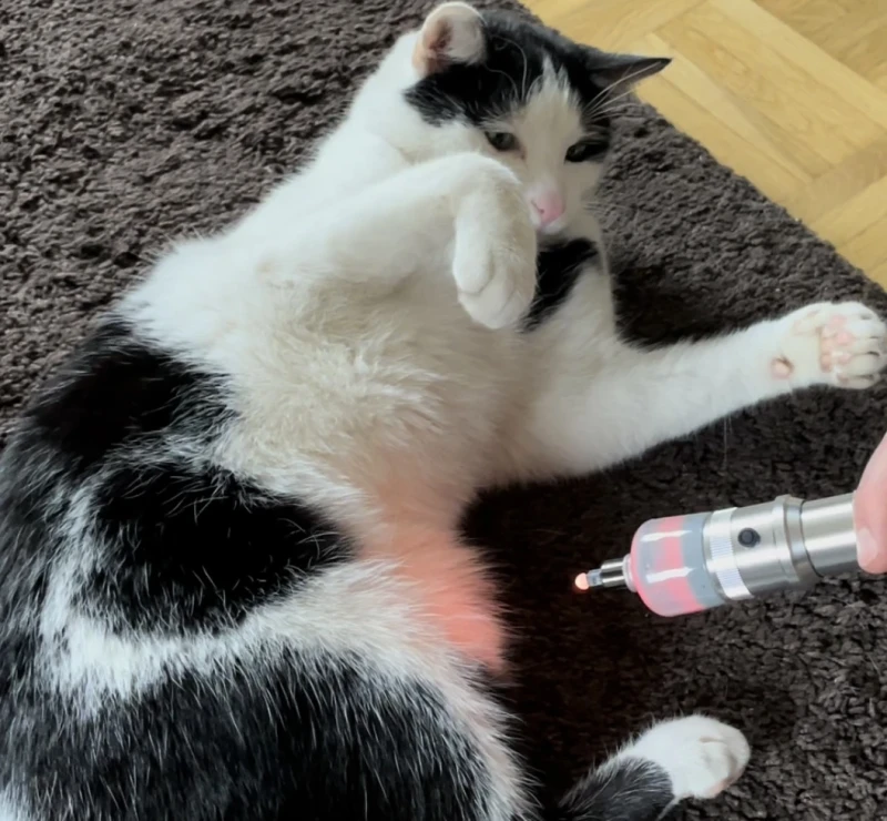 BIAS ® Chromotherapeut/in 2026 BIAS ® Chromotherapeut/in 2026