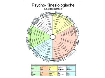 Psycho- kinesiologische Emotionsübersicht