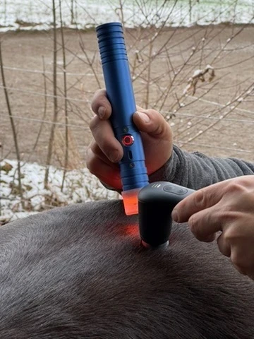Seminar Grundlagen der Farblichttherapie - Teil 2