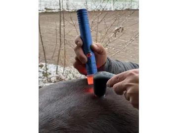 Seminar Grundlagen der Farblichttherapie - Teil 2